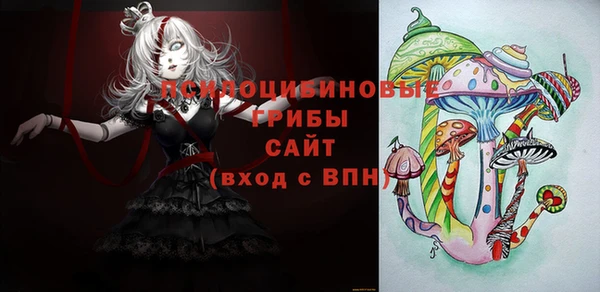 индика Баксан