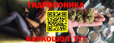 стаф Будённовск