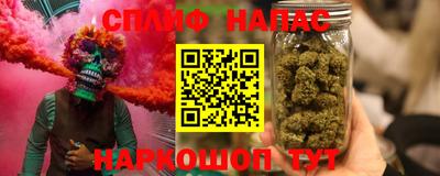 стаф Будённовск
