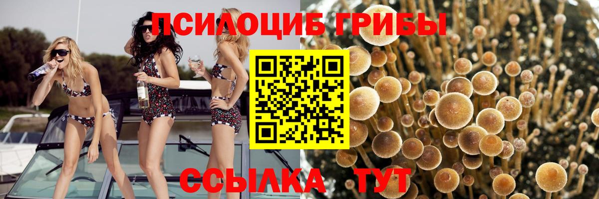 Баксан  Галлюциногенные грибы GOLDEN TEACHER  Вход с VPN  Галлюциногенные грибы прущие грибы 