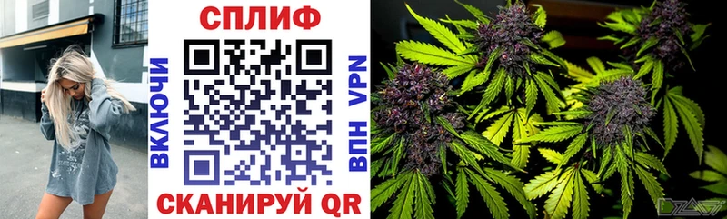 mega вход цена наркотик Баксан Бошки Шишки White Widow